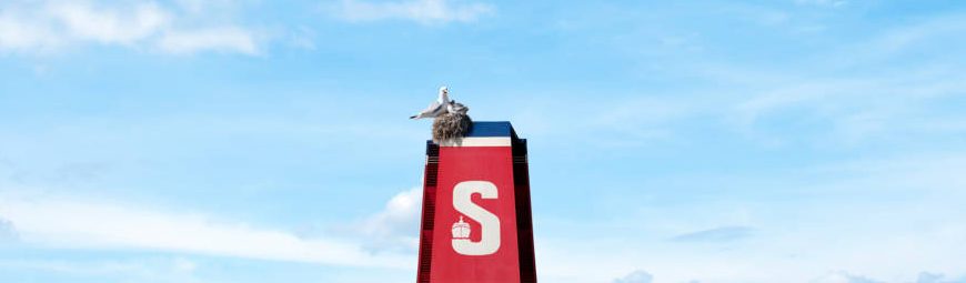 Fiskmås på Stena Line skorsten