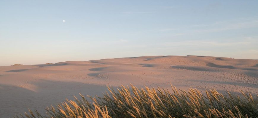Sanddynen, som är den största i sitt slag i Danmark, vandrar 15-20 meter varje år.