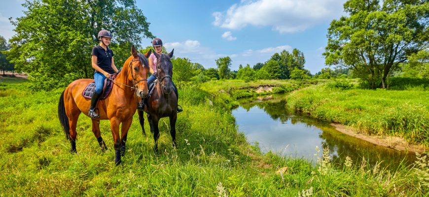 Vänner som rider häst ute i naturen